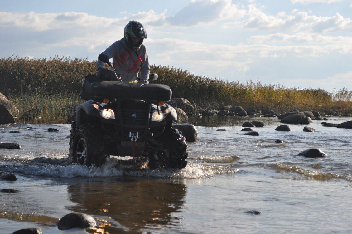  26855464  , 30 ,    -