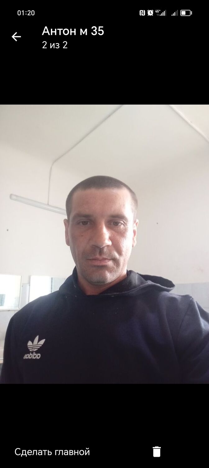  43432144  , 36 ,    