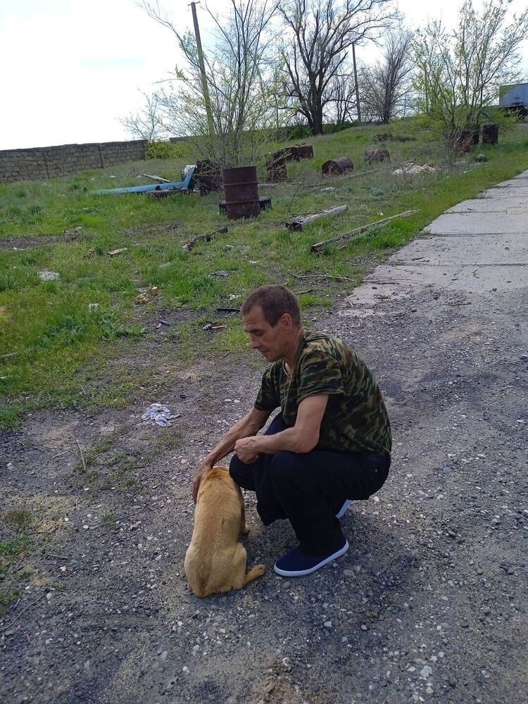 ���� 22883044 ������� ������, 56 ���, ���� ���������� � ������