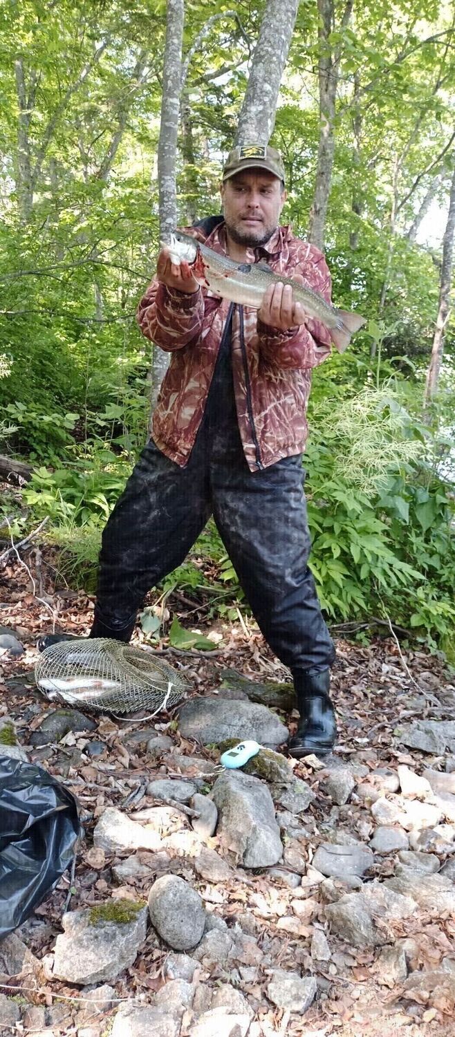 ���� 55790594 ������� �����, 46 ���, ���� ���������� � ������������