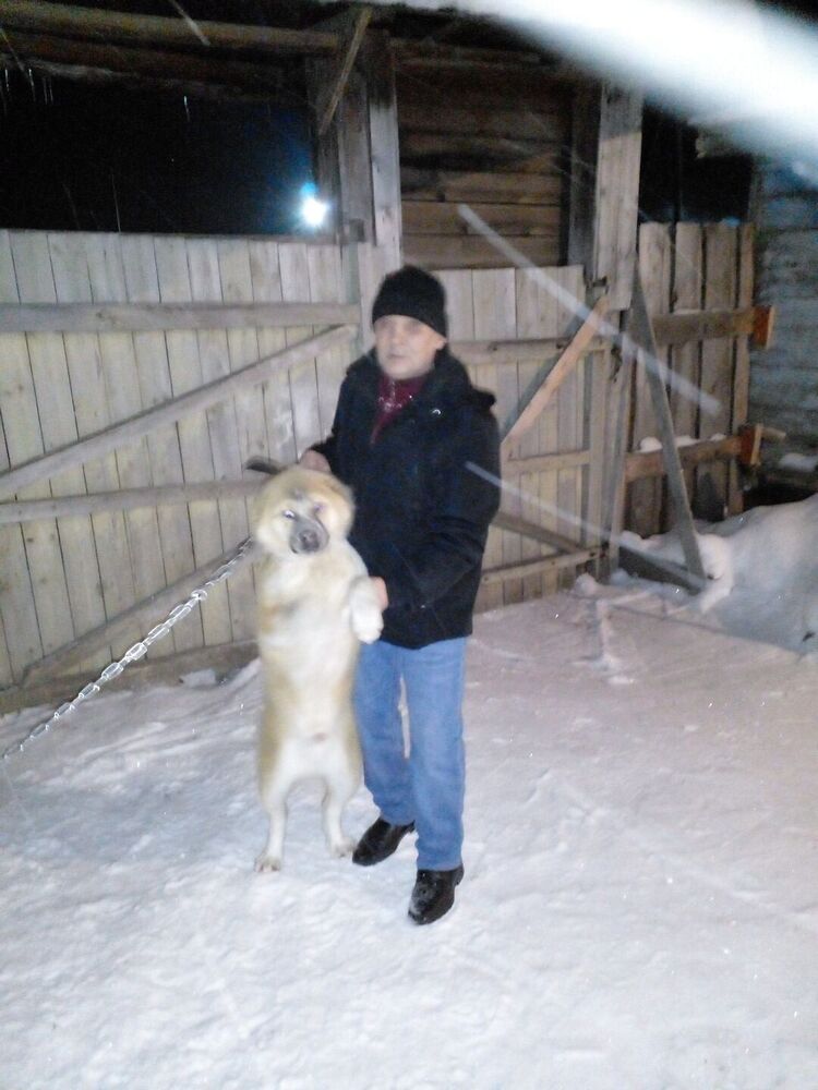 ���� 38471824 ������� �������, 55 ���, ���� ���������� � ��������������