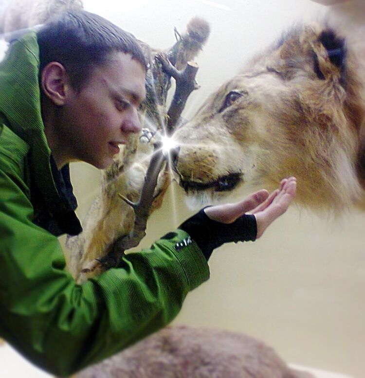 ���������� ������ ���, ���� ������� Maks, 31 ���, ������������ ��� ������