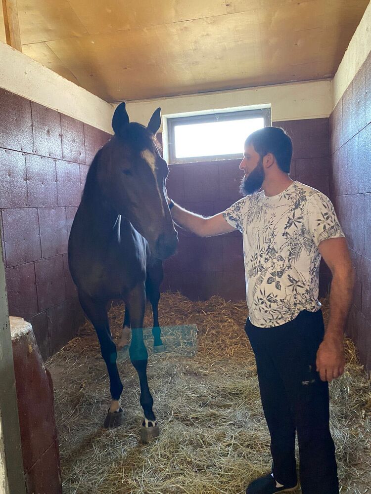 ���������� ������, ���� ������� Deni, 38 ���, ������������ ��� ������, ����� � ���������