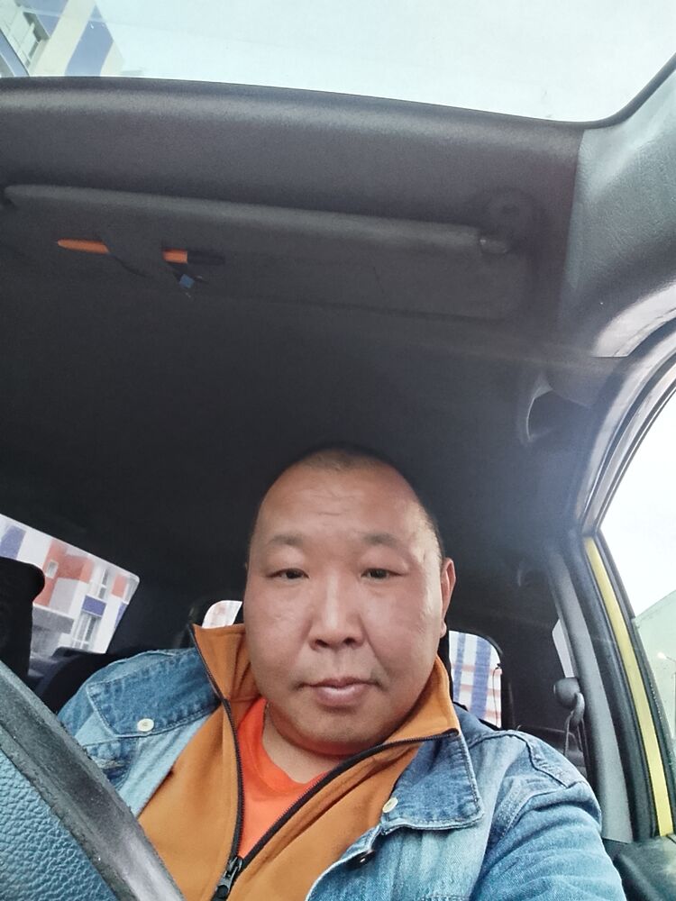  53351324  , 43 ,    -