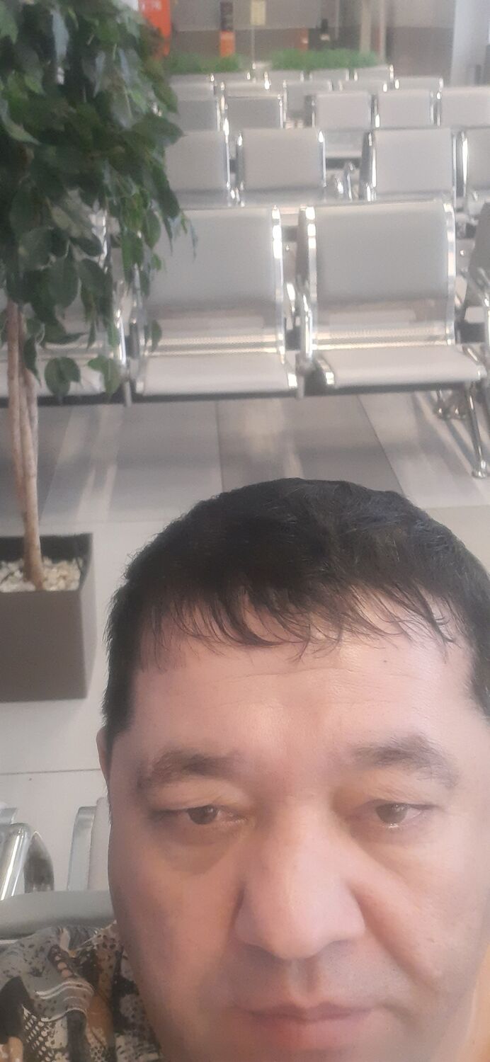  49329424  , 44 ,     