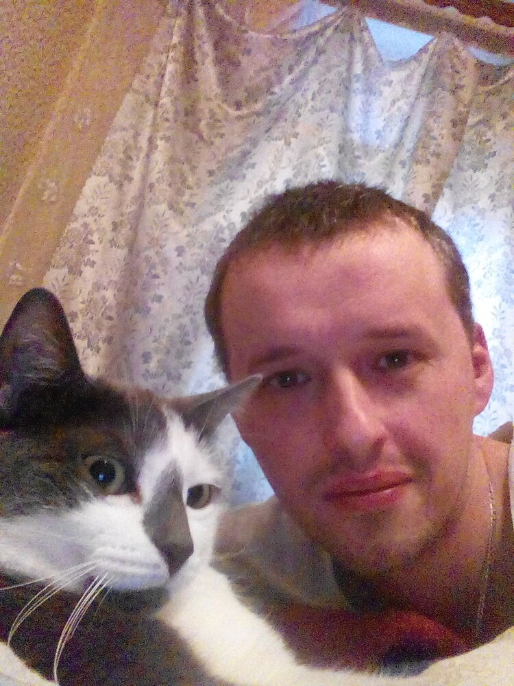  9238104  , 44 ,    -