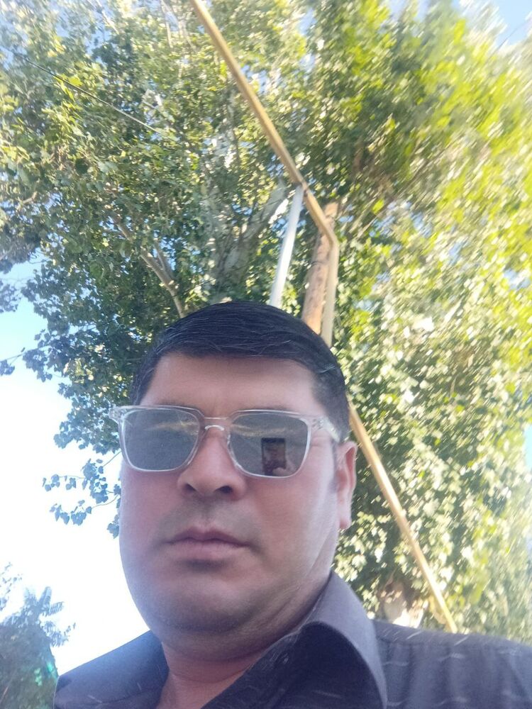  37206394  , 43 ,    