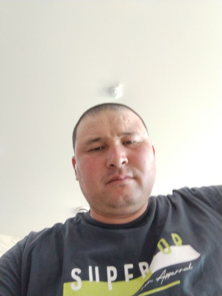  52608714  , 37 ,    