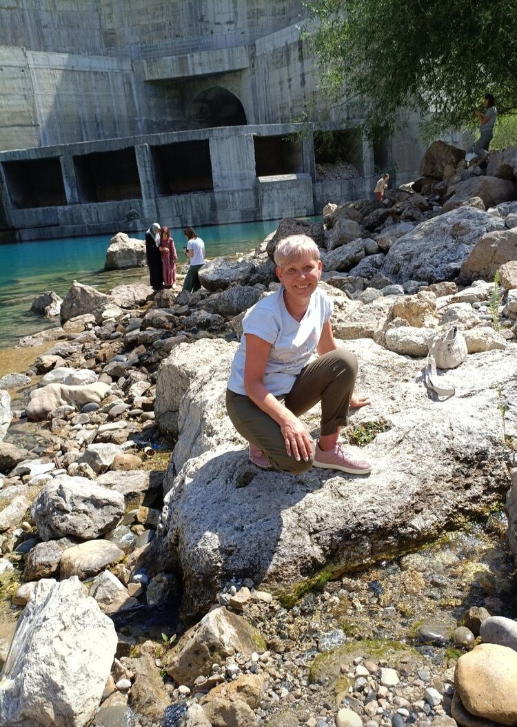  53750194  , 49 ,    -