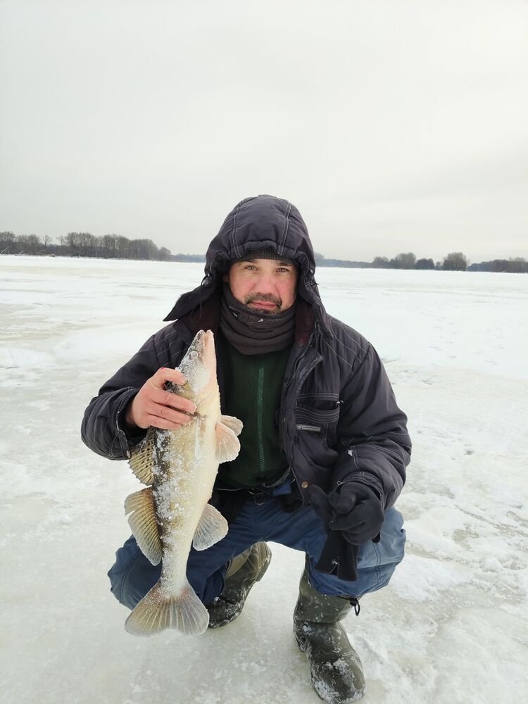 ���� 55520164 ������� �������, 49 ���, ���� ���������� � ����������