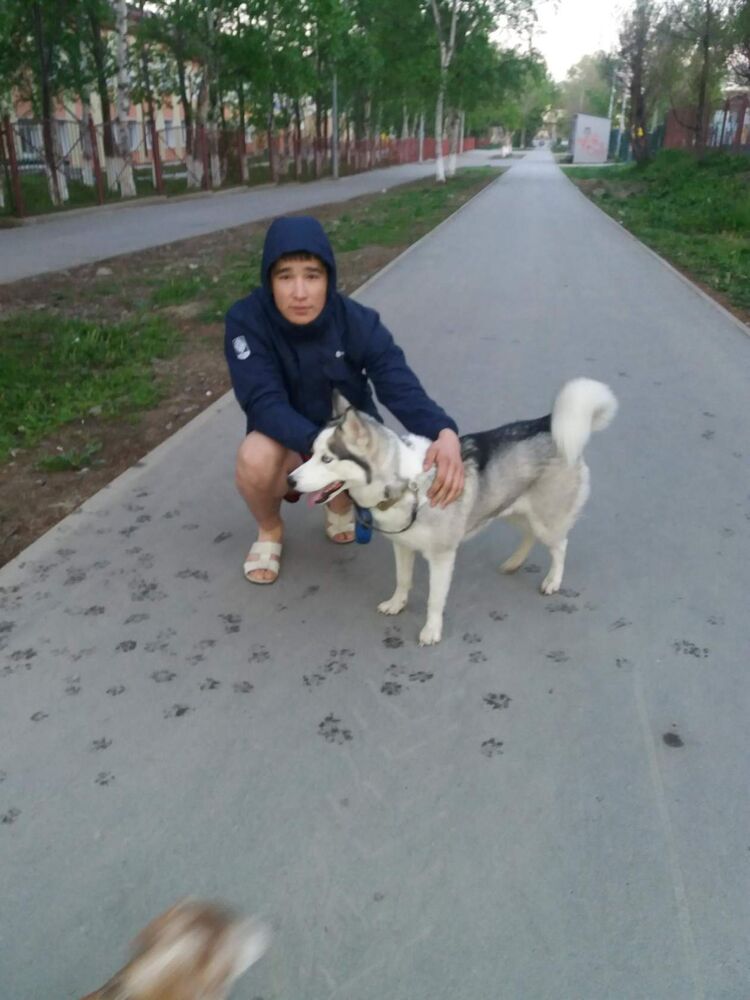  27404244  Beka, 31 ,    