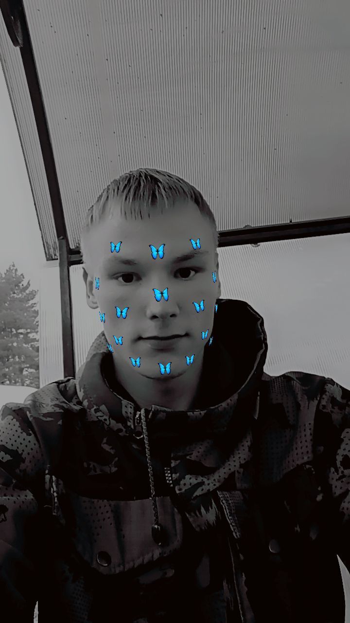  42667664  , 23 ,    