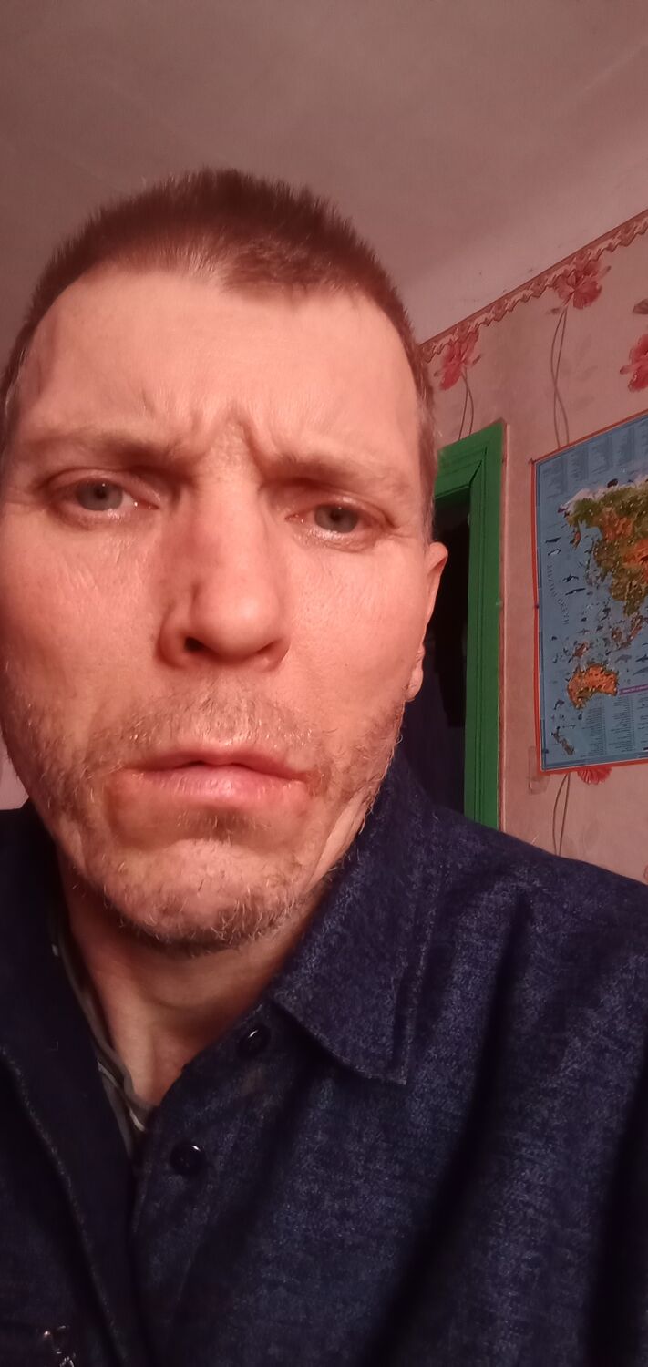  41057804  , 46 ,    