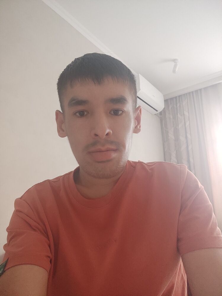  50560334  , 28 ,    