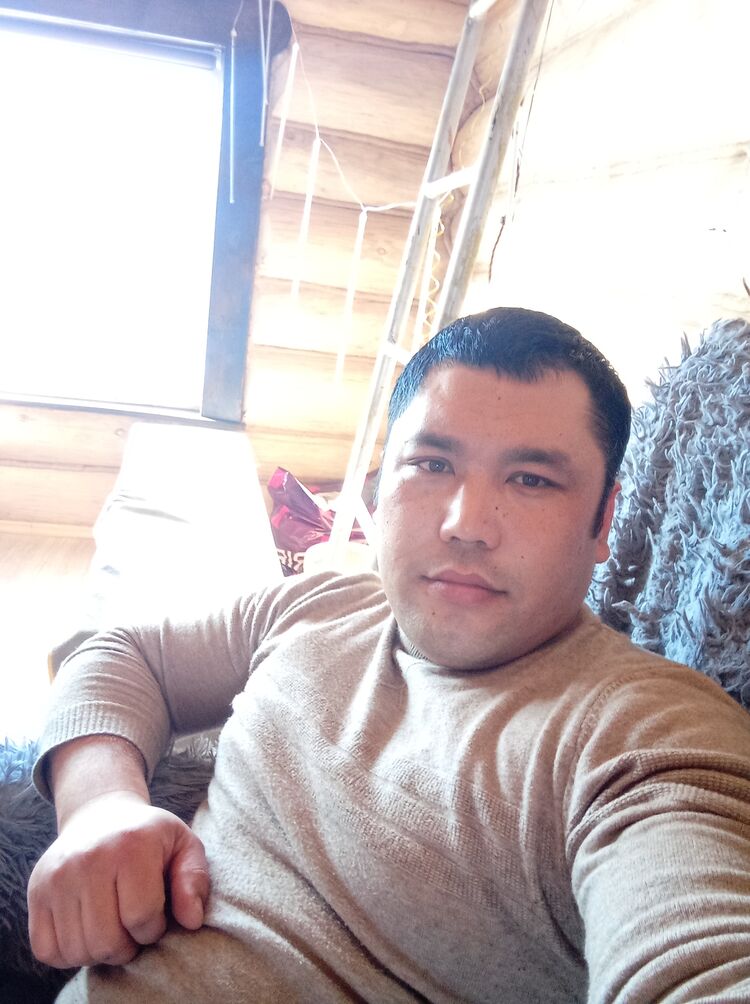 52810774  , 37 ,    