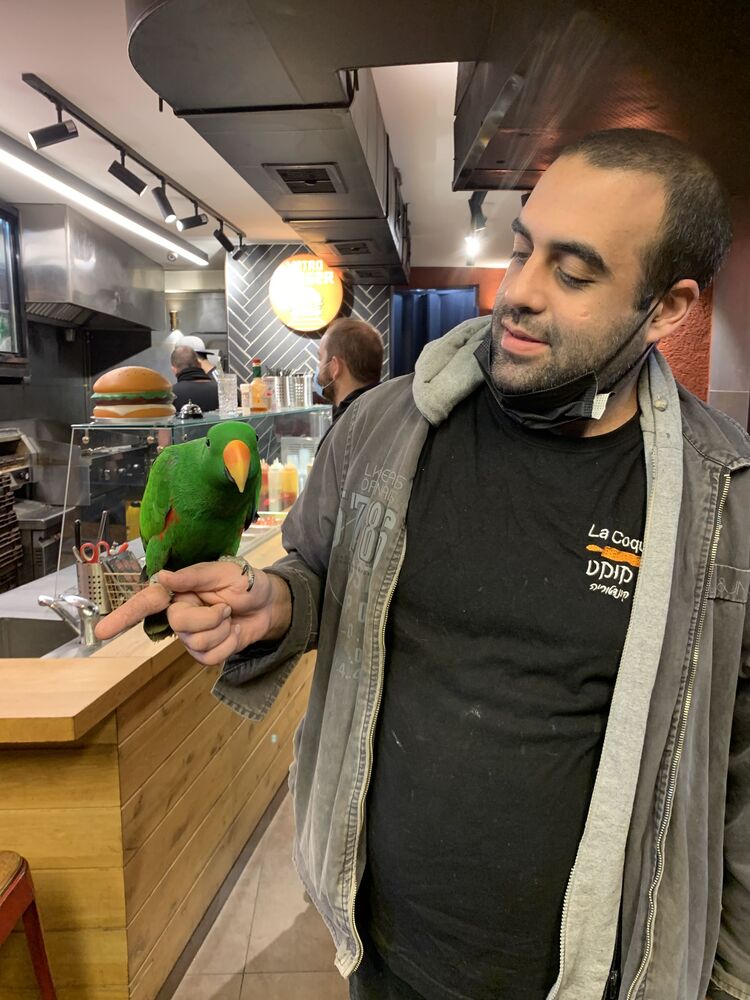  47458364  Tommer, 38 ,    Tel Aviv-Yafo