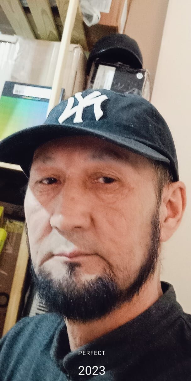  44478384  , 61 ,    