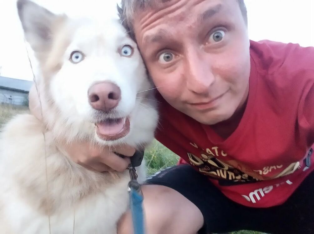 ���������� ������, ���� ������� ������, 36 ���, ������������ ��� ������, ����� � ���������