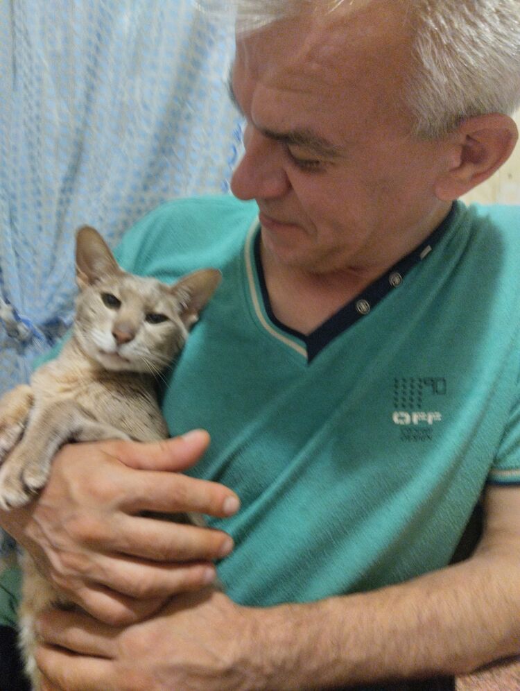 ���������� �����-���������, ���� ������� Volodya, 48 ���, ������������ ��� ������, ����� � ���������