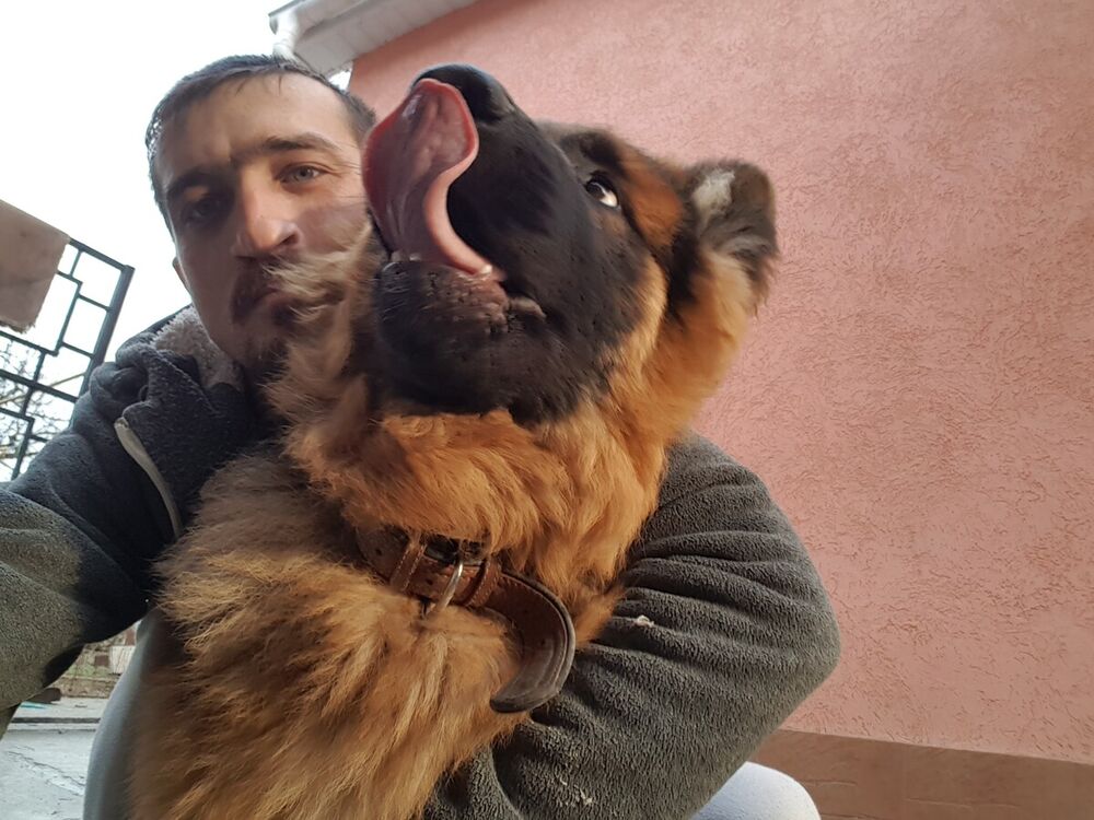 ���� 22295274 ������� �������, 37 ���, ���� ���������� � �����������