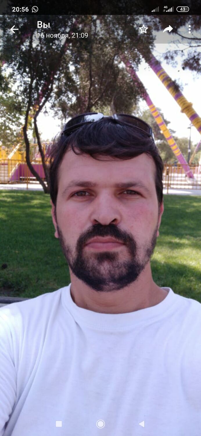  24293114  , 37 ,    -