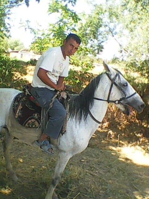  9540164  , 46 ,    