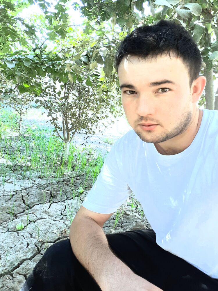 ���������� ������, ���� ������� ABROR, 33 ����, ������������ ��� ������, ����� � ���������