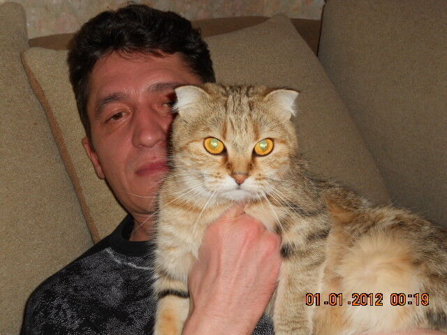  ,   , 52 ,   ,   , c 