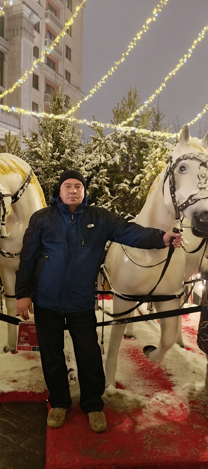 ���������� ����, ���� ������� ��������, 50 ���, ������������ ��� c�������� ���������