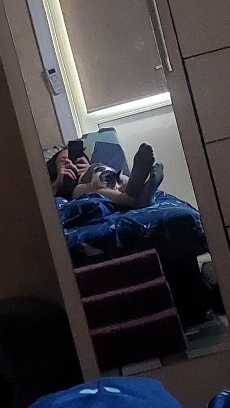 ���������� ���������, ���� ������� ������, 27 ���, ������������ ��� ����� � ���������, c�������� ���������, ���������