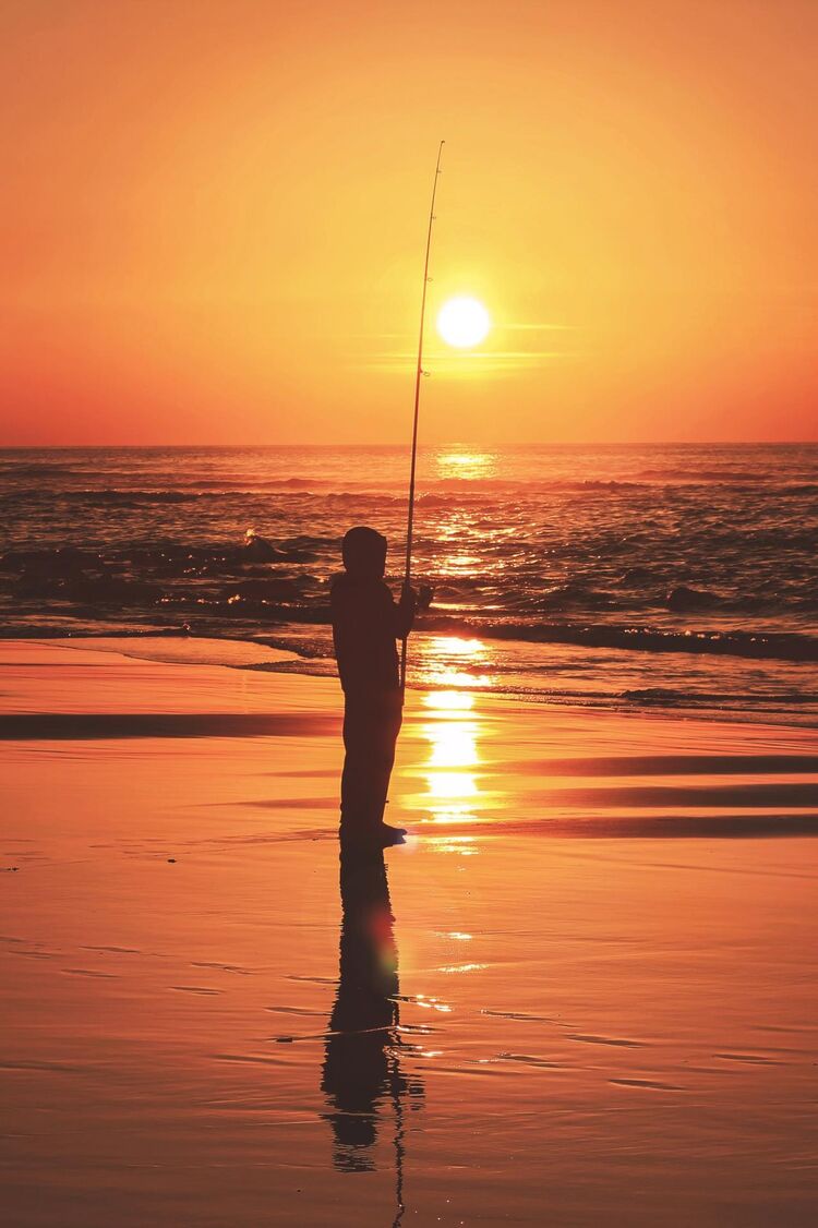 ���� 27663814 ������� �������, 38 ���, ���� ���������� � ������