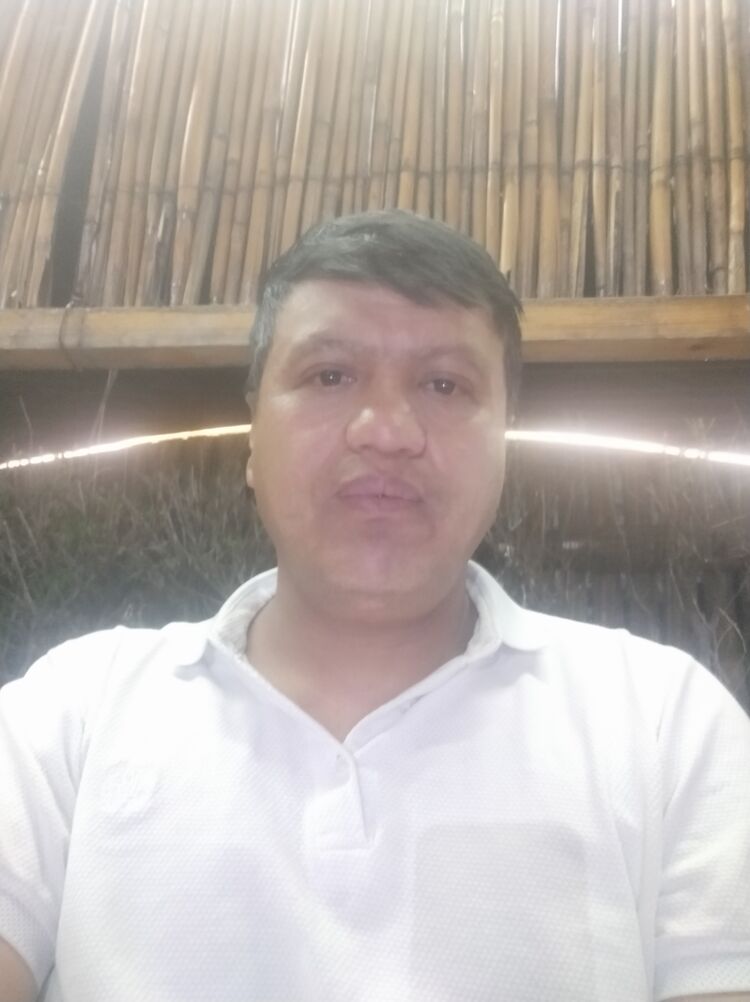  38272534  , 43 ,    