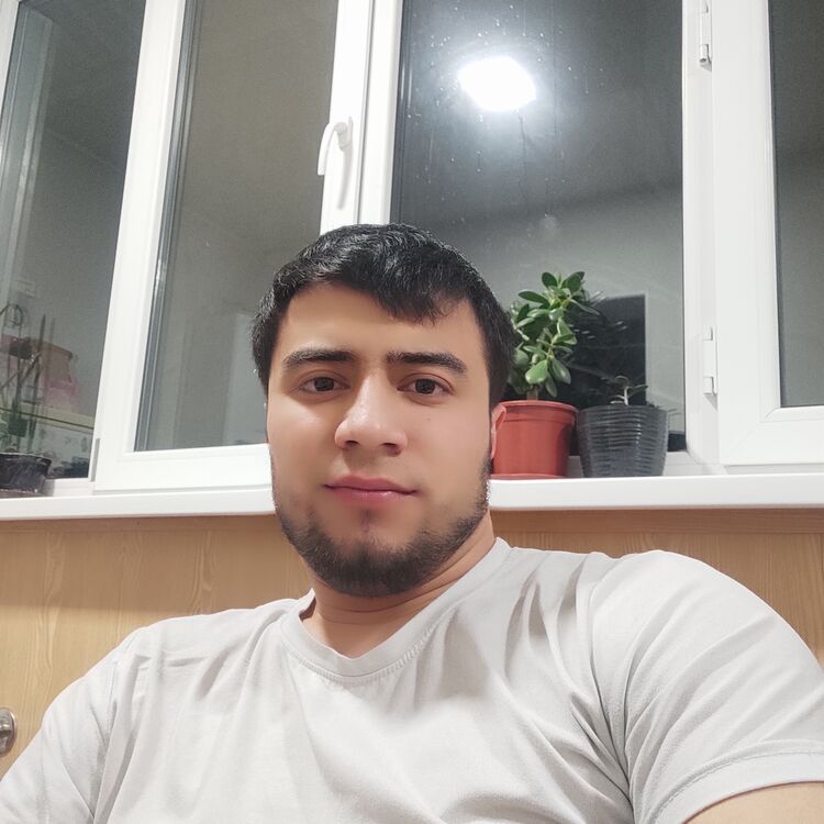  50463824  , 25 ,    