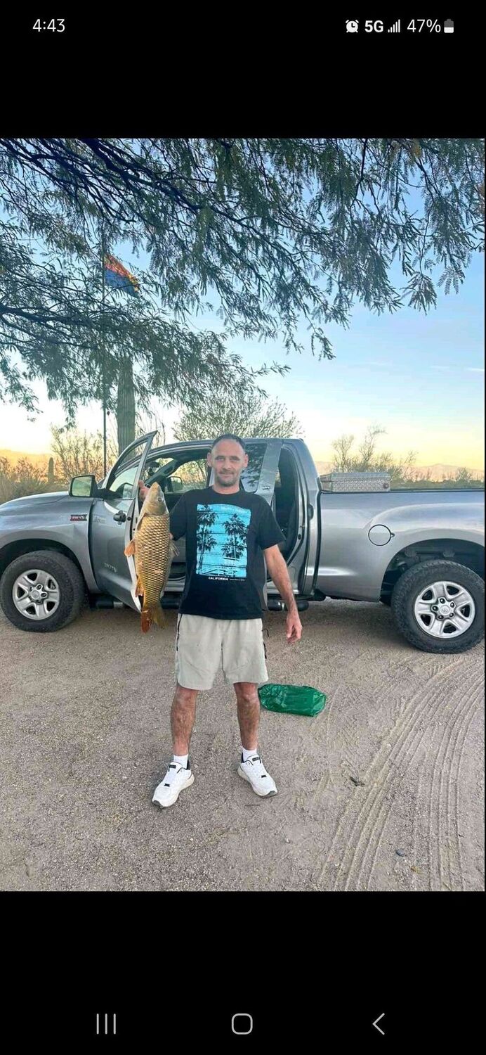 ���� 55699624 ������� ����, 47 ���, ���� ���������� � Cicero