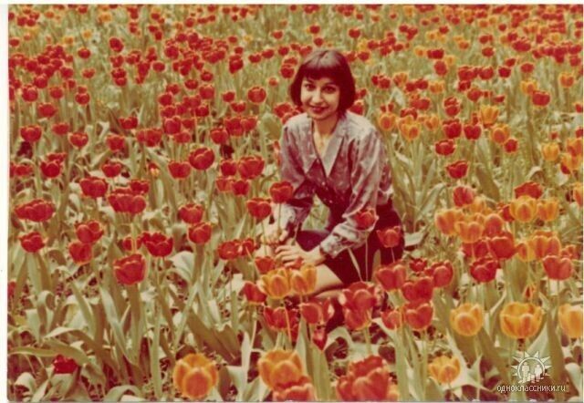 ���� 37409014 ������� �����, 61 ���, ���� ���������� � ��������