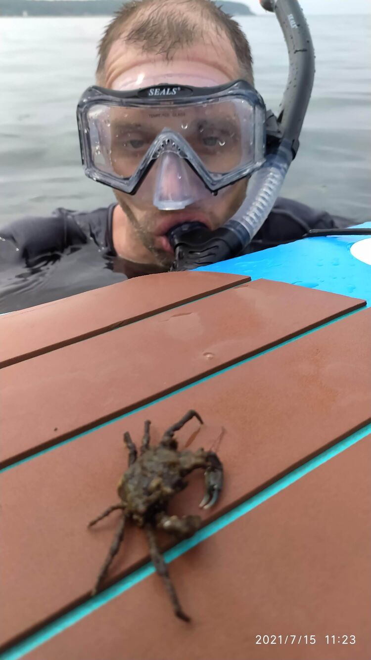  26348134  Lvovich, 42 ,    