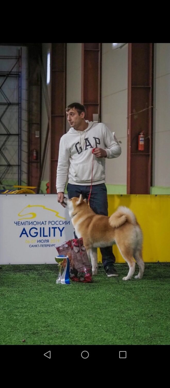 ���� 40666454 ������� ����, 35 ���, ���� ���������� � �����-����������