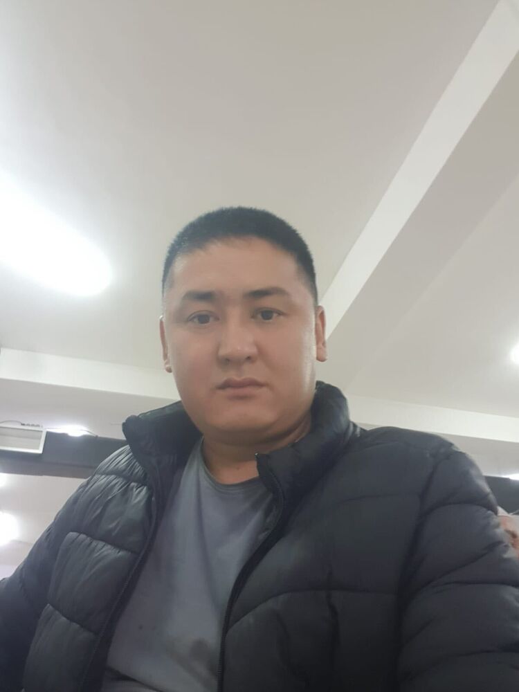  50446334  , 34 ,    