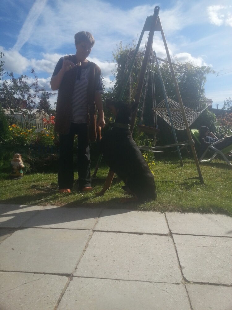  ,   , 53 ,  