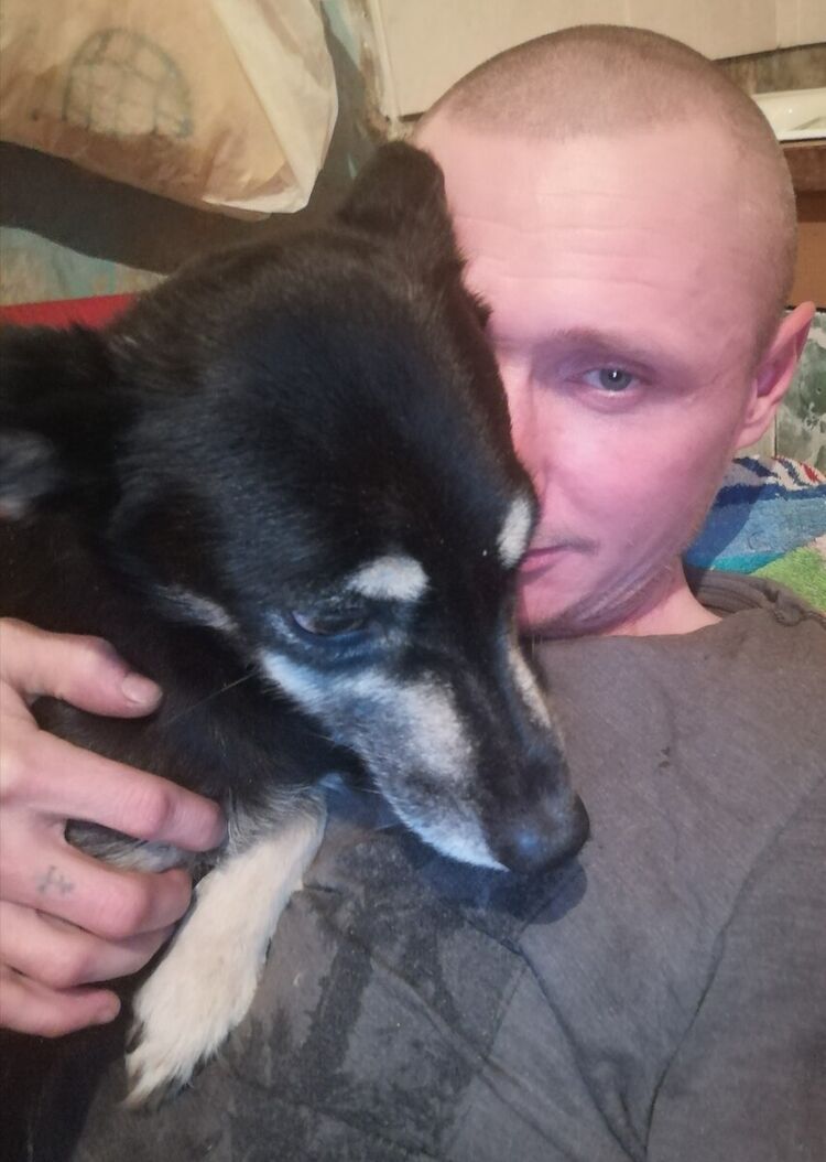 ���������� ������, ���� ������� �����, 44 ����, ������������ ��� ������, ����� � ���������