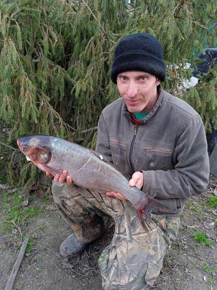 ���� 42889484 ������� ������, 35 ���, ���� ���������� � ����������