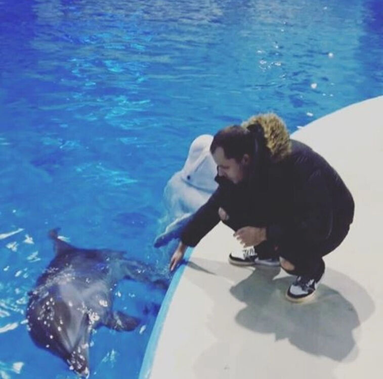 ���������� ����, ���� ������� �������, 31 ���, ������������ ��� ������, ����� � ���������, c�������� ���������