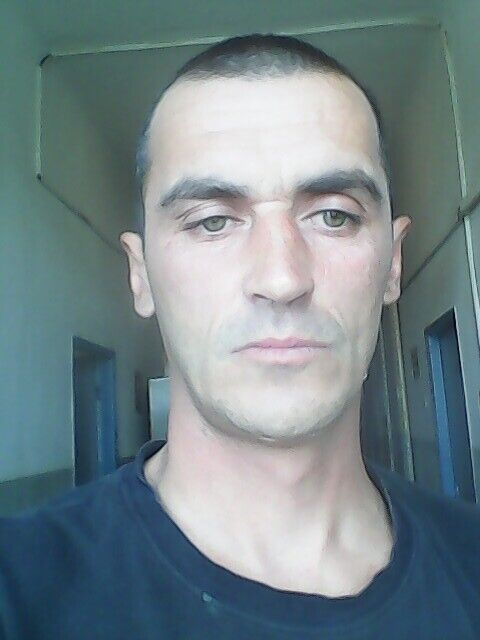  29559494  , 40 ,    -