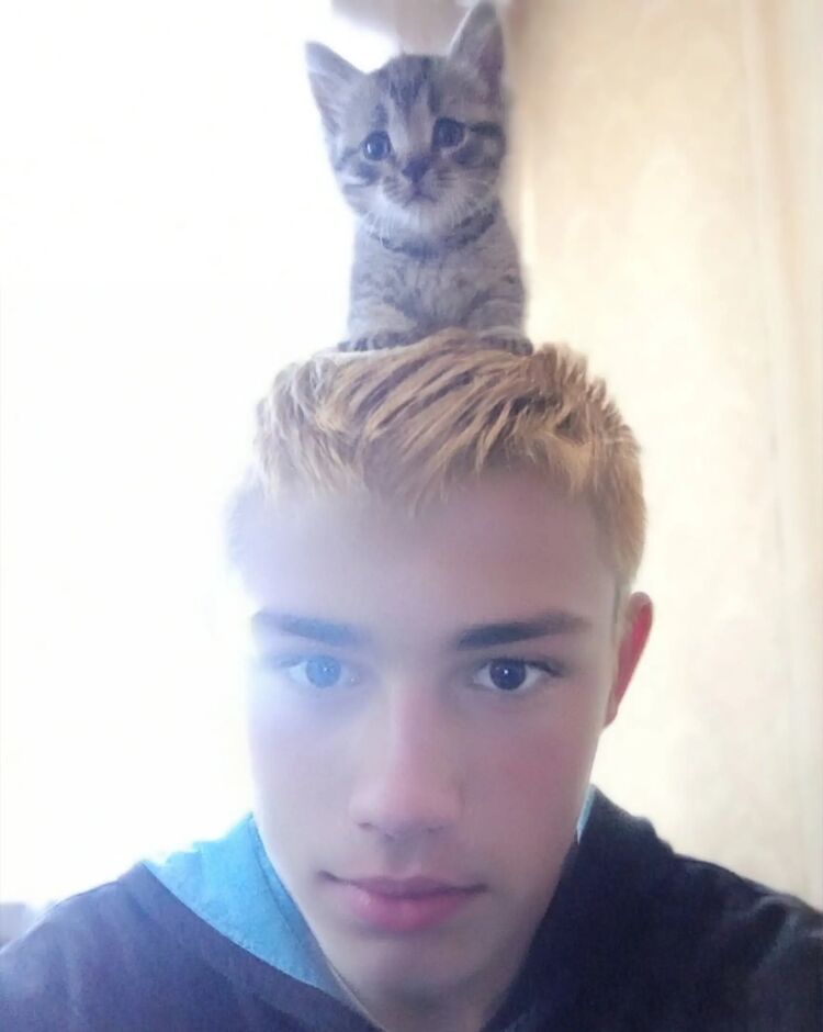   ,   , 19 ,   ,   , 