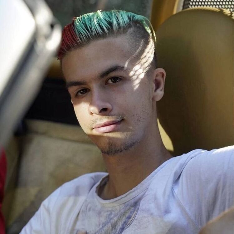  43881204  , 21 ,    