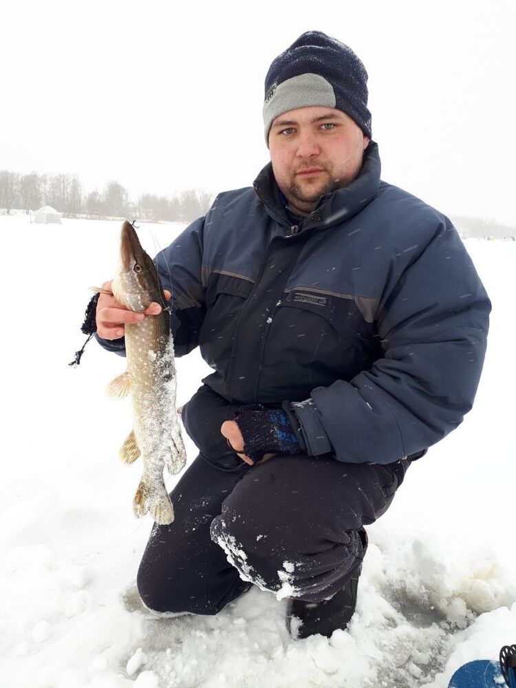 ���� 11828914 ������� ������, 41 ���, ���� ���������� � ������