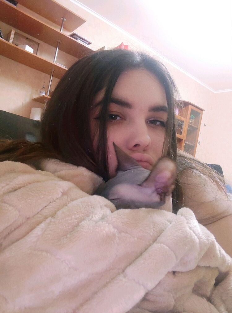  ,   , 24 ,   ,   , c 
