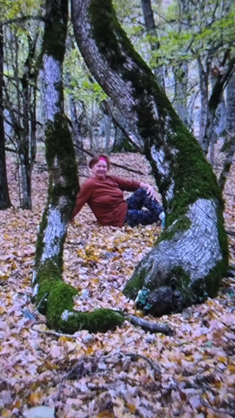  ,   , 63 ,   ,   