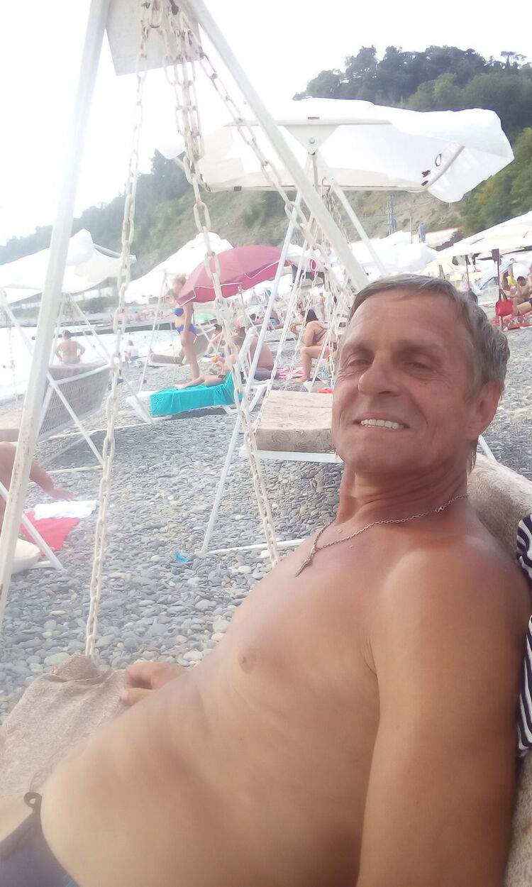  31558654  , 66 ,    
