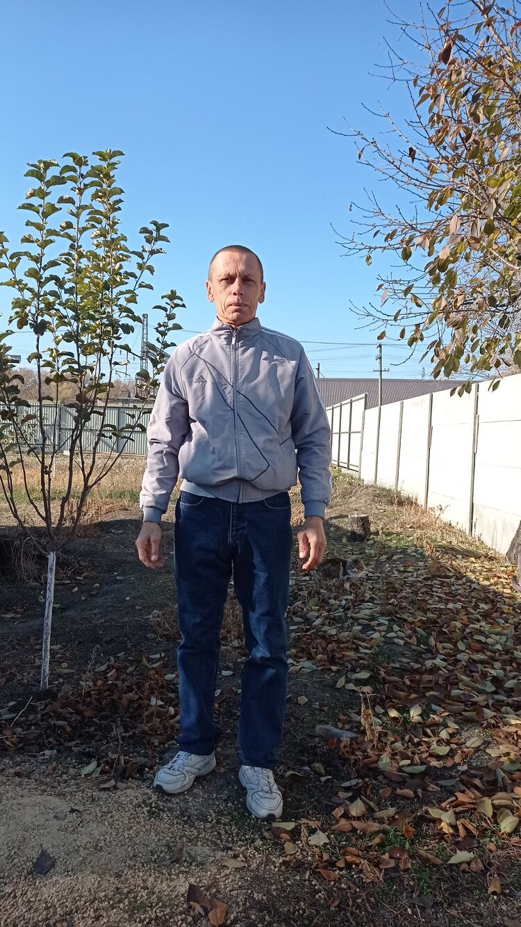  24750304  , 49 ,    